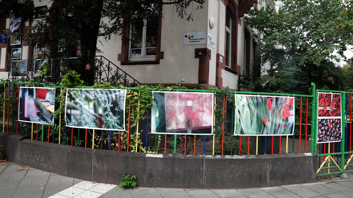 36 Fotos an der Außenfassade und am Zaun des Internationalen Kinderhauses